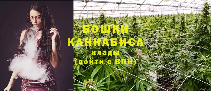 Канабис OG Kush  магазин продажи   Кандалакша 